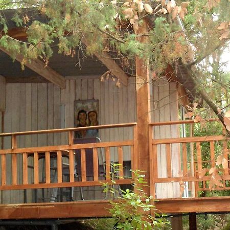 Chalet Dans Residence Privee La Gaude Exterior foto
